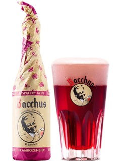 belgisches Bier Bacchus Framboise in der 37,5 cl Bierflasche eingewickelt in Seidenpapier mit vollem Bierglas