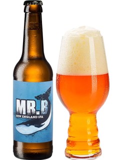 deutsches Bier Buddelship Mr B New England IPA 0,33 l Bierflasche mit vollem Bierglas