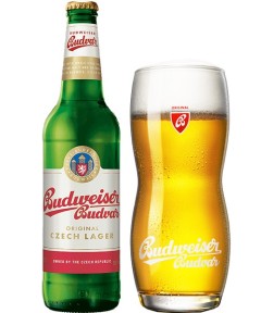 tschechisches Bier Budweiser Budvar in der 0,33 l Bierflasche mit vollem Bierglas