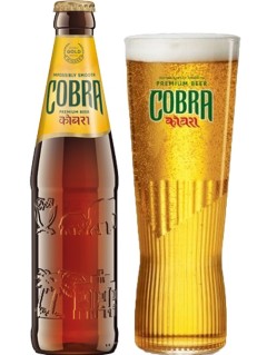 indisches Bier Cobra in der 33 cl Bierflasche mit vollem Bierglas