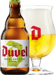 belgisches Bier Duvel Tripel Hop Citra in der 0,33 l Bierflasche mit vollem Bierglas