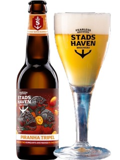 Bier aus Holland Stads Haven Piranha Tripel 0,33 l Bierflasche mit vollem Bierglas