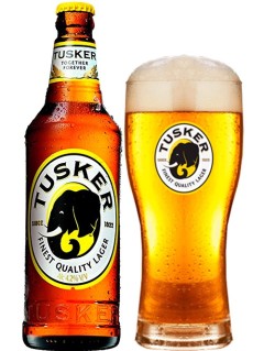 kenianisches Bier Tusker in der 0,5 l Bierflasche mit vollem Bierglas